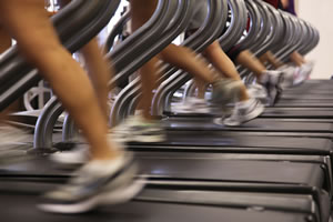 Bikes - Ellipticals - Treadmills